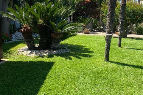 Villa i Carovigno, Brindisi, Carovigno - € 360.000 | Ref: 687 - foto 4