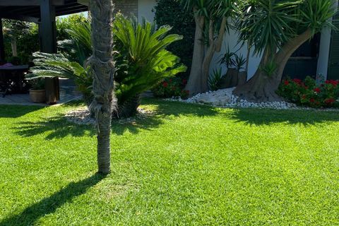 Villa i Carovigno, Brindisi, Carovigno - € 360.000 | Ref: 687 - foto 33