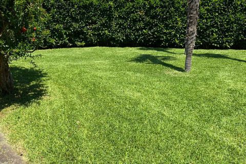 Villa i Carovigno, Brindisi, Carovigno - € 360.000 | Ref: 687 - foto 41