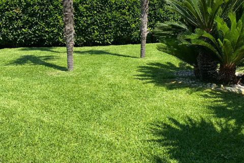 Villa i Carovigno, Brindisi, Carovigno - € 360.000 | Ref: 687 - foto 42