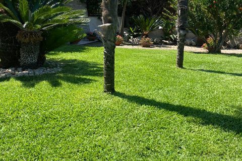 Villa i Carovigno, Brindisi, Carovigno - € 360.000 | Ref: 687 - foto 50