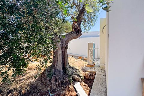 Villa i Ostuni, Brindisi, Ostuni - € 800.000 | Ref: 905 - foto 23