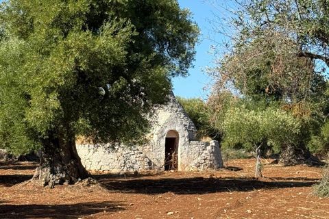 Villa i Ostuni, Brindisi, Ostuni - € 650.000 | Ref: 910 - foto 1
