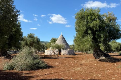 Villa i Ostuni, Brindisi, Ostuni - € 650.000 | Ref: 910 - foto 2