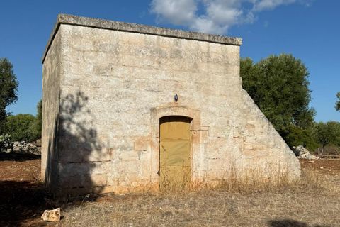 Villa i Ostuni, Brindisi, Ostuni - € 650.000 | Ref: 910 - foto 5