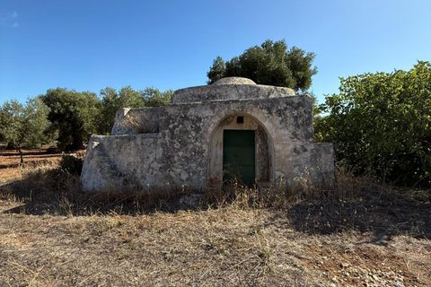 Villa i Ostuni, Brindisi, Ostuni - € 650.000 | Ref: 910 - foto 8