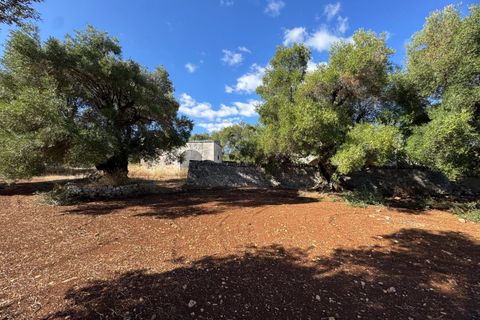 Villa i Ostuni, Brindisi, Ostuni - € 650.000 | Ref: 910 - foto 12