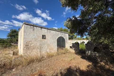 Villa i Ostuni, Brindisi, Ostuni - € 650.000 | Ref: 910 - foto 15