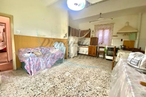 Byhus i Rosignano Marittimo, Livorno, Rosignano Marittimo - € 74.000 | Ref: C1061 - foto 2