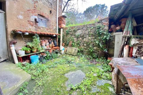 Byhus i Rosignano Marittimo, Livorno, Rosignano Marittimo - € 74.000 | Ref: C1061 - foto 8