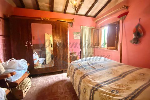 Byhus i Rosignano Marittimo, Livorno, Rosignano Marittimo - € 74.000 | Ref: C1061 - foto 17