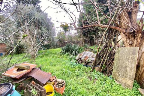 Byhus i Rosignano Marittimo, Livorno, Rosignano Marittimo - € 74.000 | Ref: C1061 - foto 28