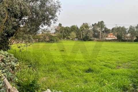Tomt i Agueda, Aveiro, Agueda - € 70 000 | Ref: KWPT-029046 - foto 3