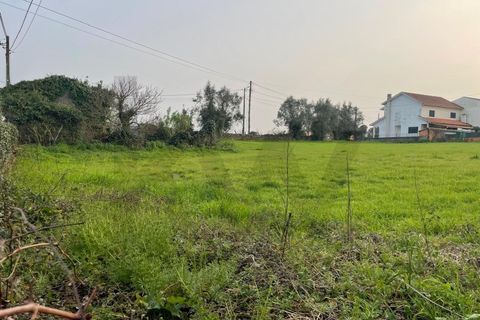 Tomt i Agueda, Aveiro, Agueda - € 70 000 | Ref: KWPT-029046 - foto 8