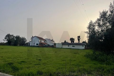Tomt i Agueda, Aveiro, Agueda - € 70 000 | Ref: KWPT-029046 - foto 10