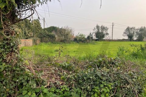 Tomt i Agueda, Aveiro, Agueda - € 70 000 | Ref: KWPT-029046 - foto 12