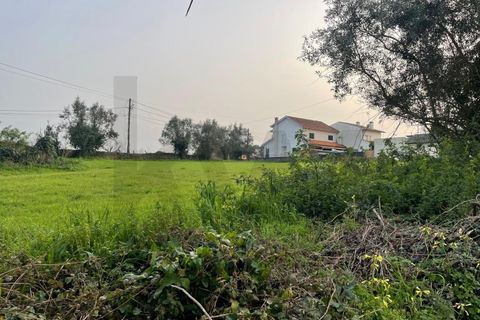 Tomt i Agueda, Aveiro, Agueda - € 70 000 | Ref: KWPT-029046 - foto 14