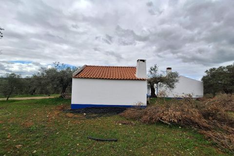 Gårdshus i Serpa, Beja, Serpa - € 300 000 | Ref: 0329 - foto 32