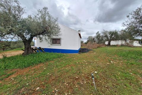 Gårdshus i Serpa, Beja, Serpa - € 300 000 | Ref: 0329 - foto 33