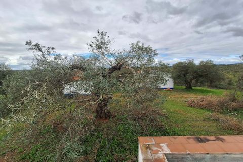 Gårdshus i Serpa, Beja, Serpa - € 300 000 | Ref: 0329 - foto 34