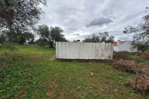 Gårdshus i Serpa, Beja, Serpa - € 300 000 | Ref: 0329 - foto 38