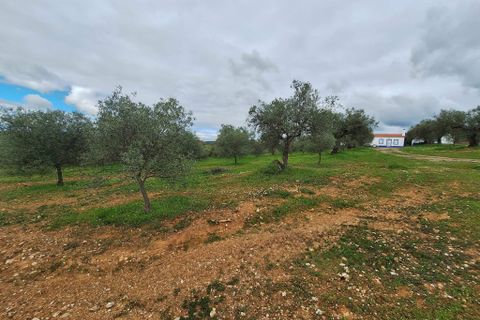 Gårdshus i Serpa, Beja, Serpa - € 300 000 | Ref: 0329 - foto 40
