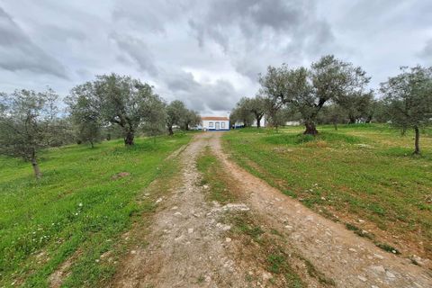 Gårdshus i Serpa, Beja, Serpa - € 300 000 | Ref: 0329 - foto 41