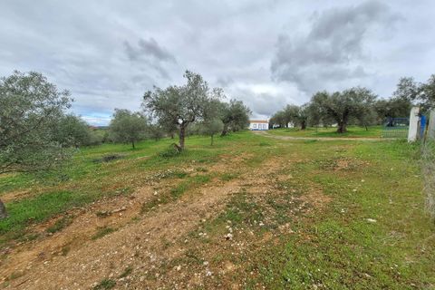 Gårdshus i Serpa, Beja, Serpa - € 300 000 | Ref: 0329 - foto 42