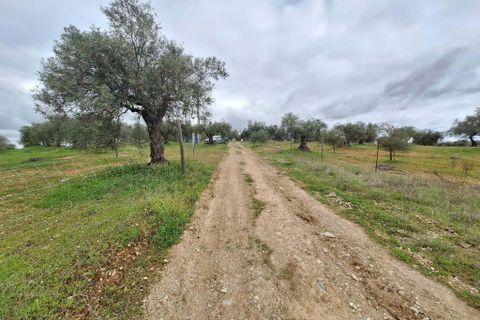 Gårdshus i Serpa, Beja, Serpa - € 300 000 | Ref: 0329 - foto 43