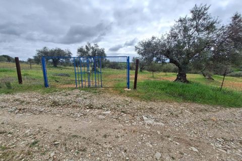Gårdshus i Serpa, Beja, Serpa - € 300 000 | Ref: 0329 - foto 44