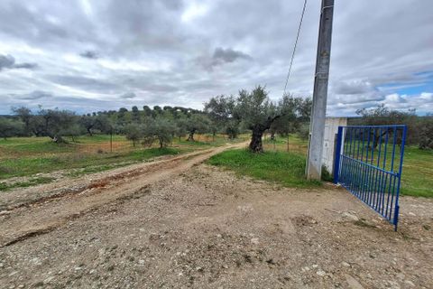 Gårdshus i Serpa, Beja, Serpa - € 300 000 | Ref: 0329 - foto 45