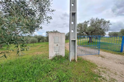 Gårdshus i Serpa, Beja, Serpa - € 300 000 | Ref: 0329 - foto 46