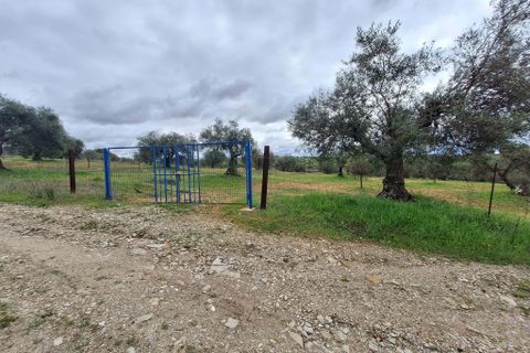 Gårdshus i Serpa, Beja, Serpa - € 300 000 | Ref: 0329 - foto 47