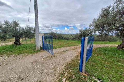 Gårdshus i Serpa, Beja, Serpa - € 300 000 | Ref: 0329 - foto 48