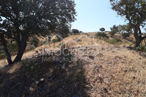 Helårsgrund i Odeleite, Faro, Odeleite - € 300.000 | Ref: 331 - foto 5