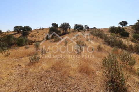 Helårsgrund i Odeleite, Faro, Odeleite - € 300.000 | Ref: 331 - foto 6