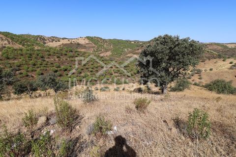 Helårsgrund i Odeleite, Faro, Odeleite - € 300.000 | Ref: 331 - foto 7