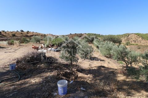 Helårsgrund i Odeleite, Faro, Odeleite - € 300.000 | Ref: 331 - foto 19