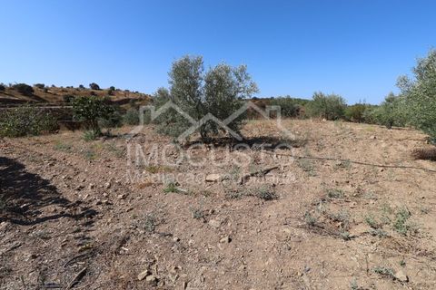 Helårsgrund i Odeleite, Faro, Odeleite - € 300.000 | Ref: 331 - foto 21
