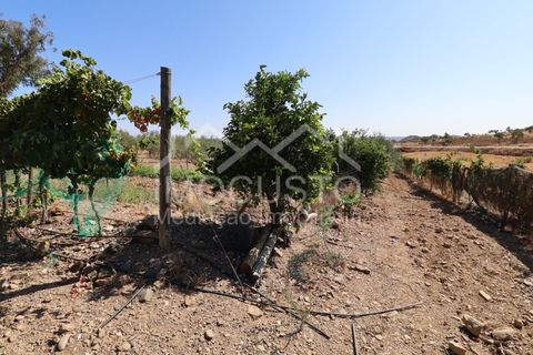 Helårsgrund i Odeleite, Faro, Odeleite - € 300.000 | Ref: 331 - foto 22