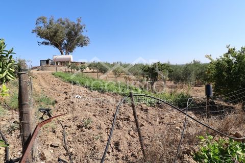Helårsgrund i Odeleite, Faro, Odeleite - € 300.000 | Ref: 331 - foto 23