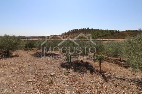 Helårsgrund i Odeleite, Faro, Odeleite - € 300.000 | Ref: 331 - foto 26