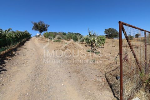 Helårsgrund i Odeleite, Faro, Odeleite - € 300.000 | Ref: 331 - foto 29