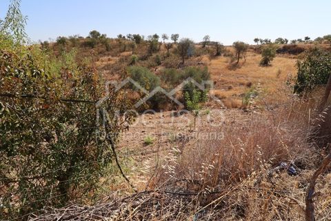 Helårsgrund i Odeleite, Faro, Odeleite - € 300.000 | Ref: 331 - foto 31