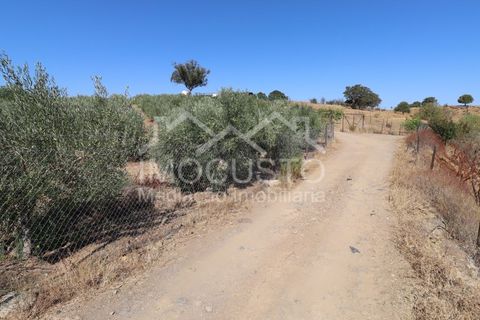 Helårsgrund i Odeleite, Faro, Odeleite - € 300.000 | Ref: 331 - foto 33