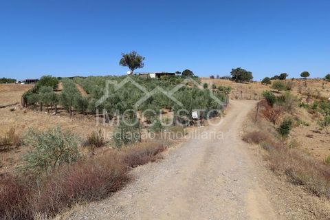 Helårsgrund i Odeleite, Faro, Odeleite - € 300.000 | Ref: 331 - foto 34