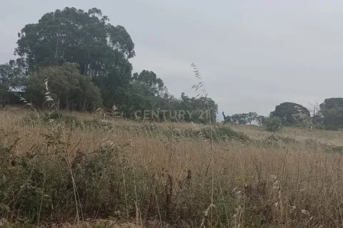 Helårsgrund i Setubal, Setubal, Setubal - € 890.000 | Ref: C0410-00633 - foto 4