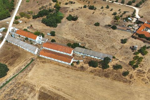 Helårsgrund i Palmela, Setubal, Palmela - € 599.000 | Ref: C0410-01106 - foto 1