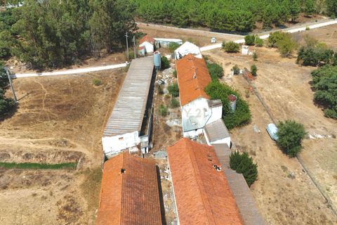 Helårsgrund i Palmela, Setubal, Palmela - € 599.000 | Ref: C0410-01106 - foto 4