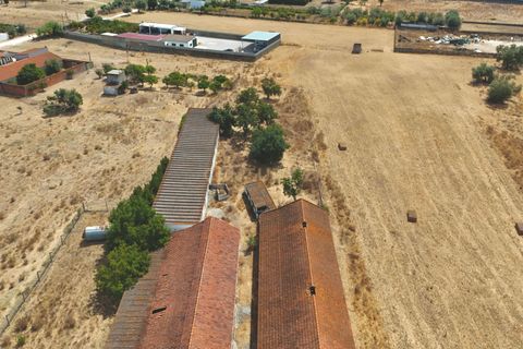 Helårsgrund i Palmela, Setubal, Palmela - € 599.000 | Ref: C0410-01106 - foto 5